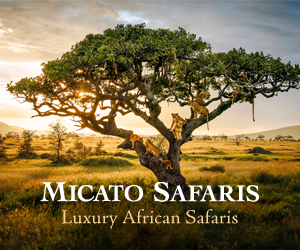 Micato Safaris Vol 42